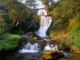 images (7)